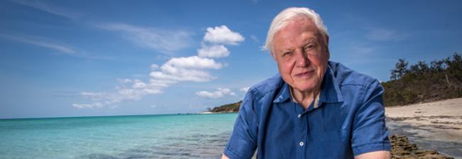 David Attenborough returns to film the Great Barrier Reef David Attenborough returns to film the Great Barrier Reef